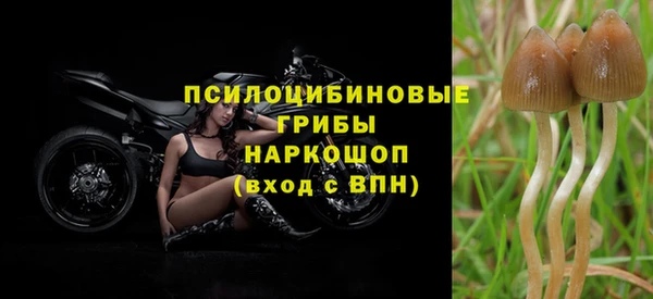 не бодяженный Волоколамск