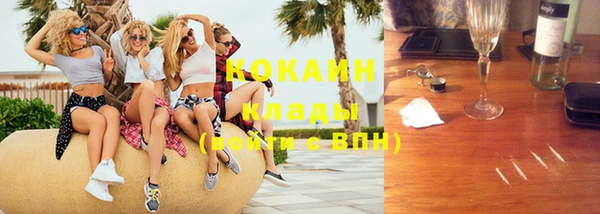 прущие грибы Краснослободск