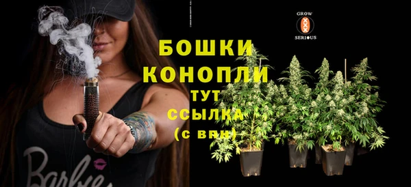 дживик Володарск