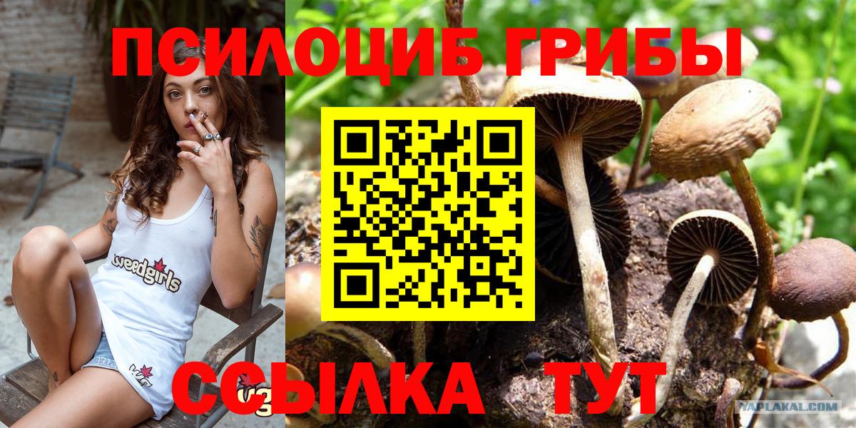 Галлюциногенные грибы Cubensis  купить наркотики цена  Галлюциногенные грибы мицелий  Комсомольск-на-Амуре 