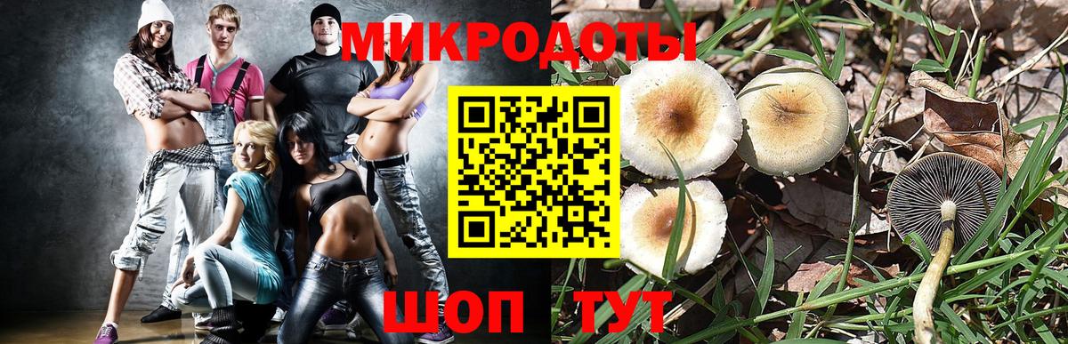 Псилоцибиновые грибы мицелий Комсомольск-на-Амуре